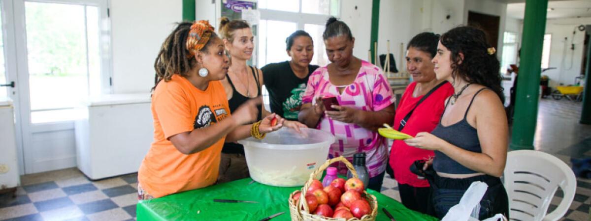 alimentos